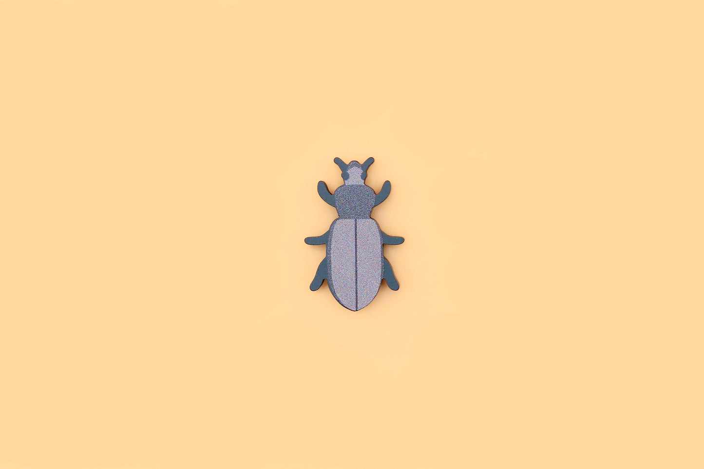 Insect