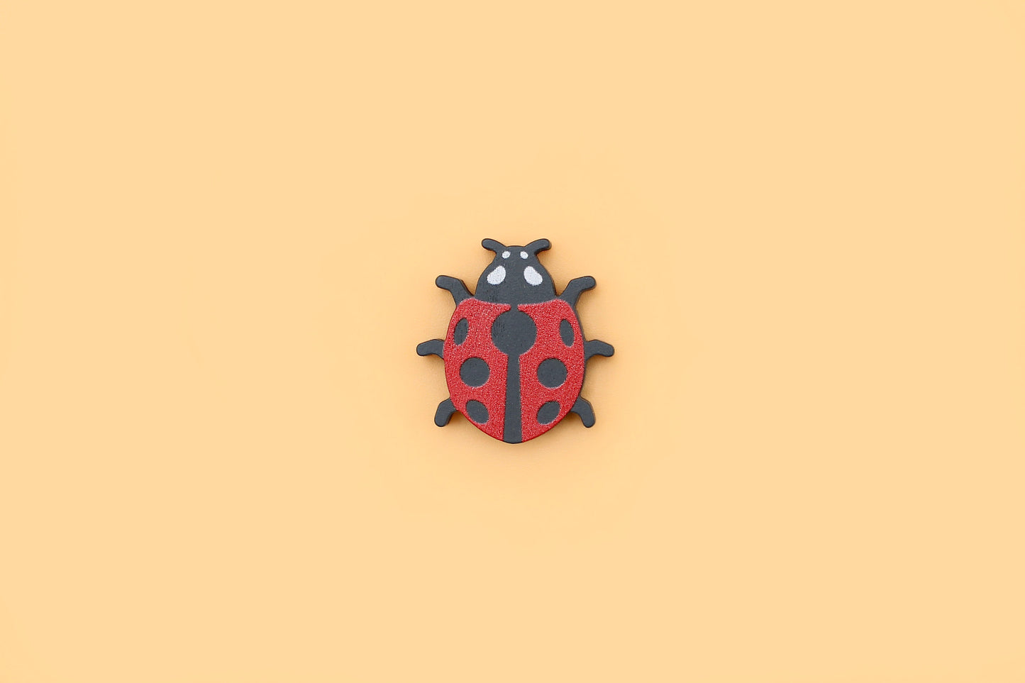 Ladybug