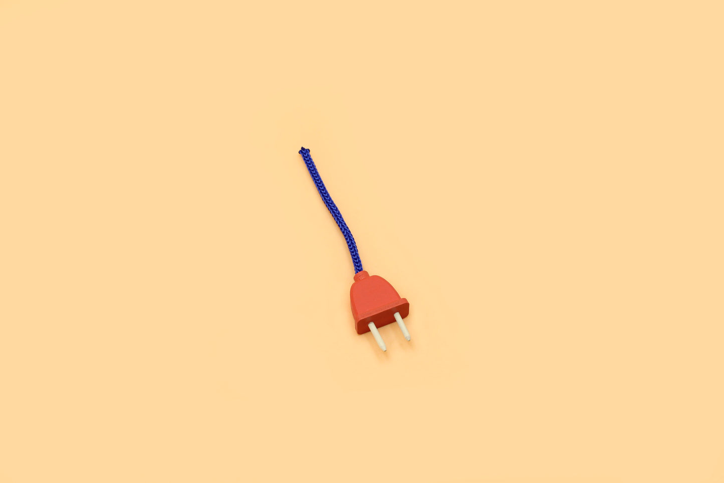 Plug