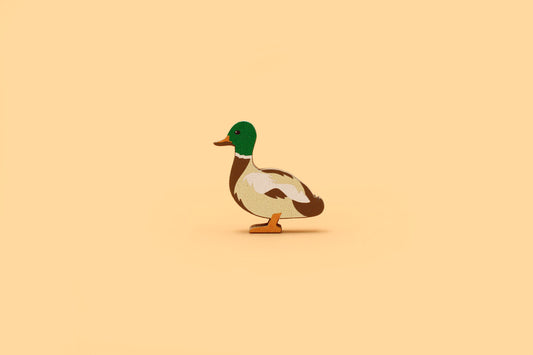 Duck