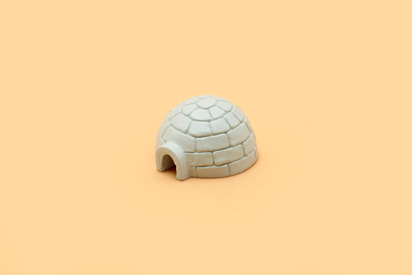 Igloo