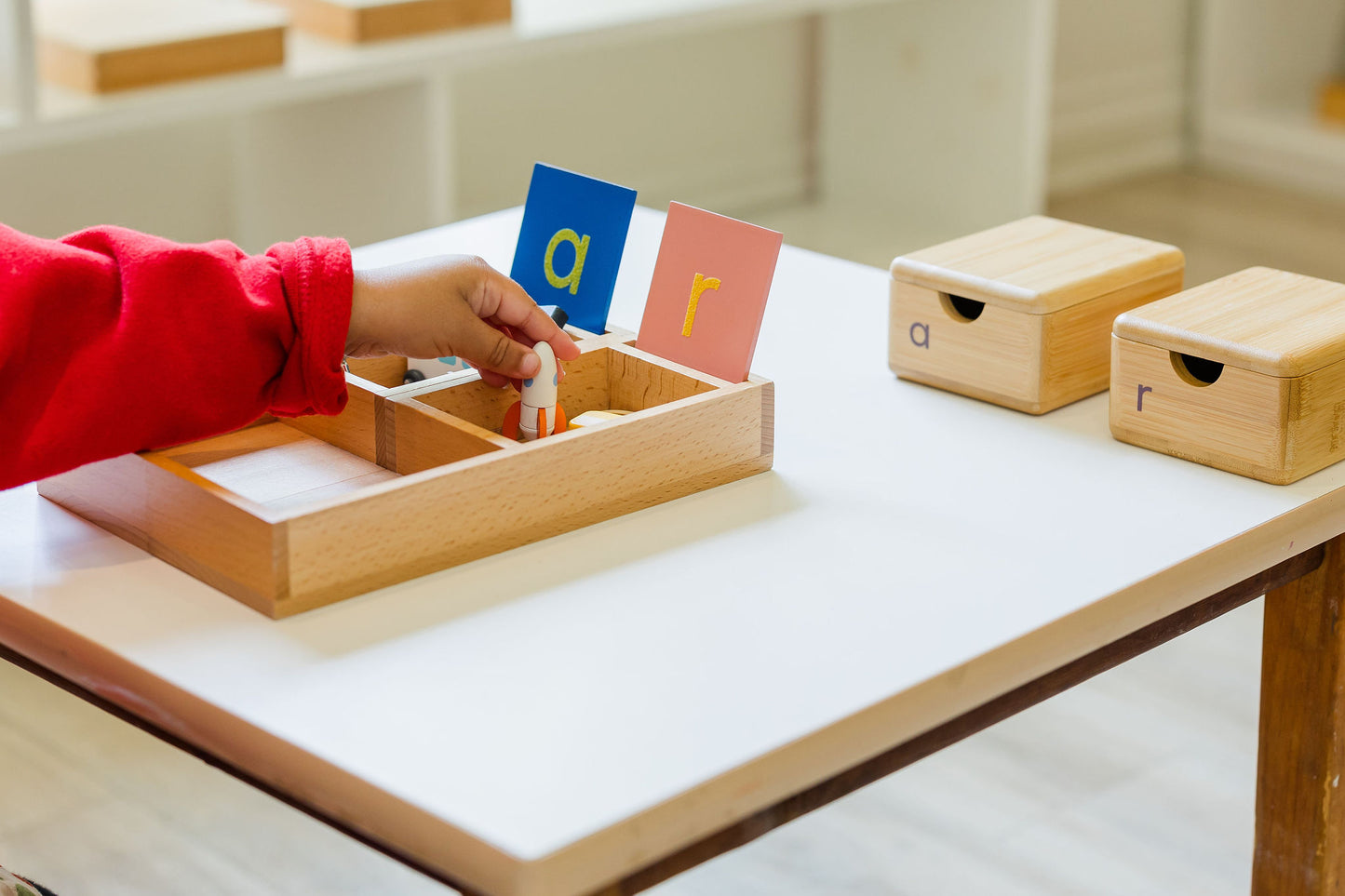 Sorting Tray with Mini Sandpaper Letters