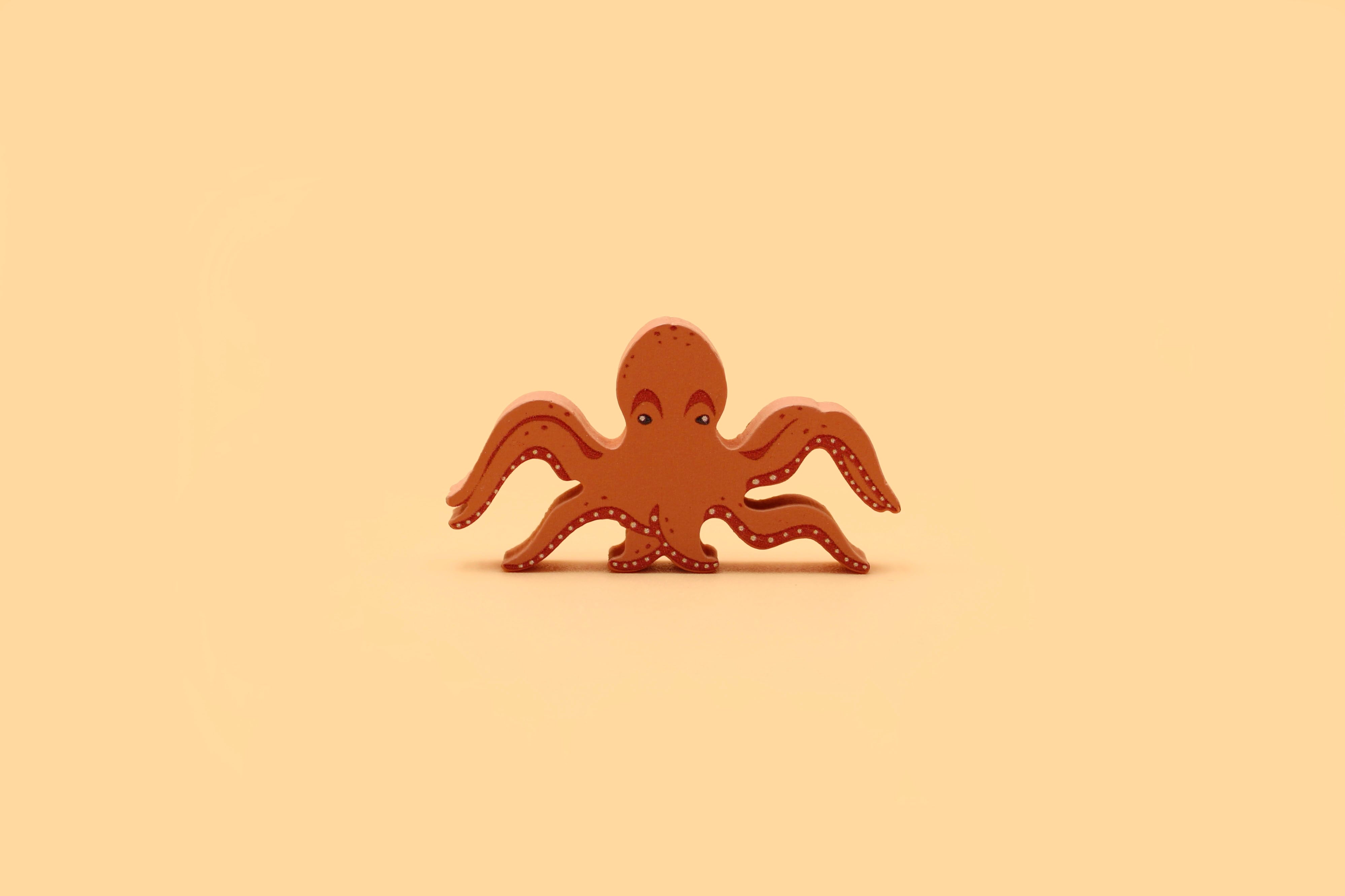 Octopus – Montessori Language
