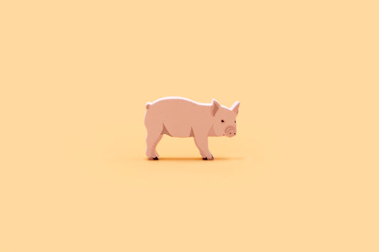 Pig